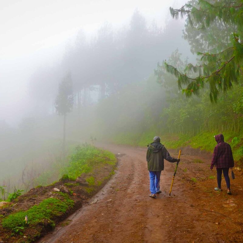 Village Walk in Ruhija Sector